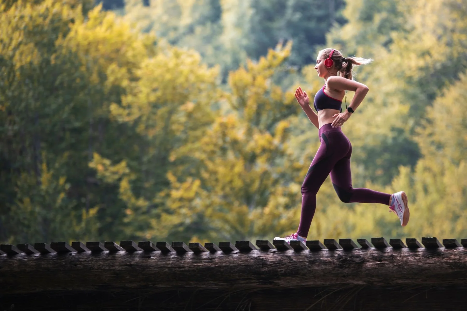 DexaFit Tampa | Personalized Health Insights with DEXA Scan